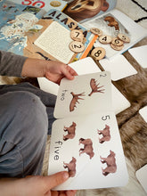 Load image into Gallery viewer, Alaska Counting Cards