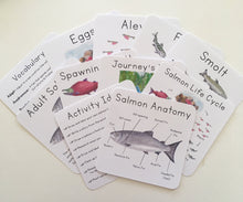 Load image into Gallery viewer, Salmon Life Cycle Learning Cards