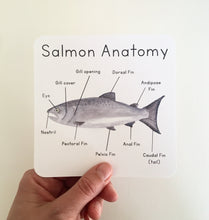 Load image into Gallery viewer, Salmon Life Cycle Learning Cards