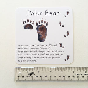 Alaska Animal Tracks Learning Cards: Digital Download