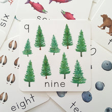 Load image into Gallery viewer, Alaska Counting Cards