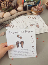 Load image into Gallery viewer, Alaska Animal Tracks Learning Cards