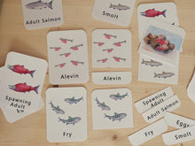 Load image into Gallery viewer, Salmon Life Cycle Digital Learning Unit