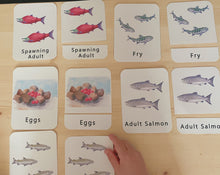 Load image into Gallery viewer, Salmon Life Cycle Digital Learning Unit