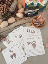 Load image into Gallery viewer, Alaska Animal Tracks Learning Cards