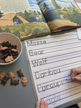 Load image into Gallery viewer, Alaska Animal Track Writeable Placemat