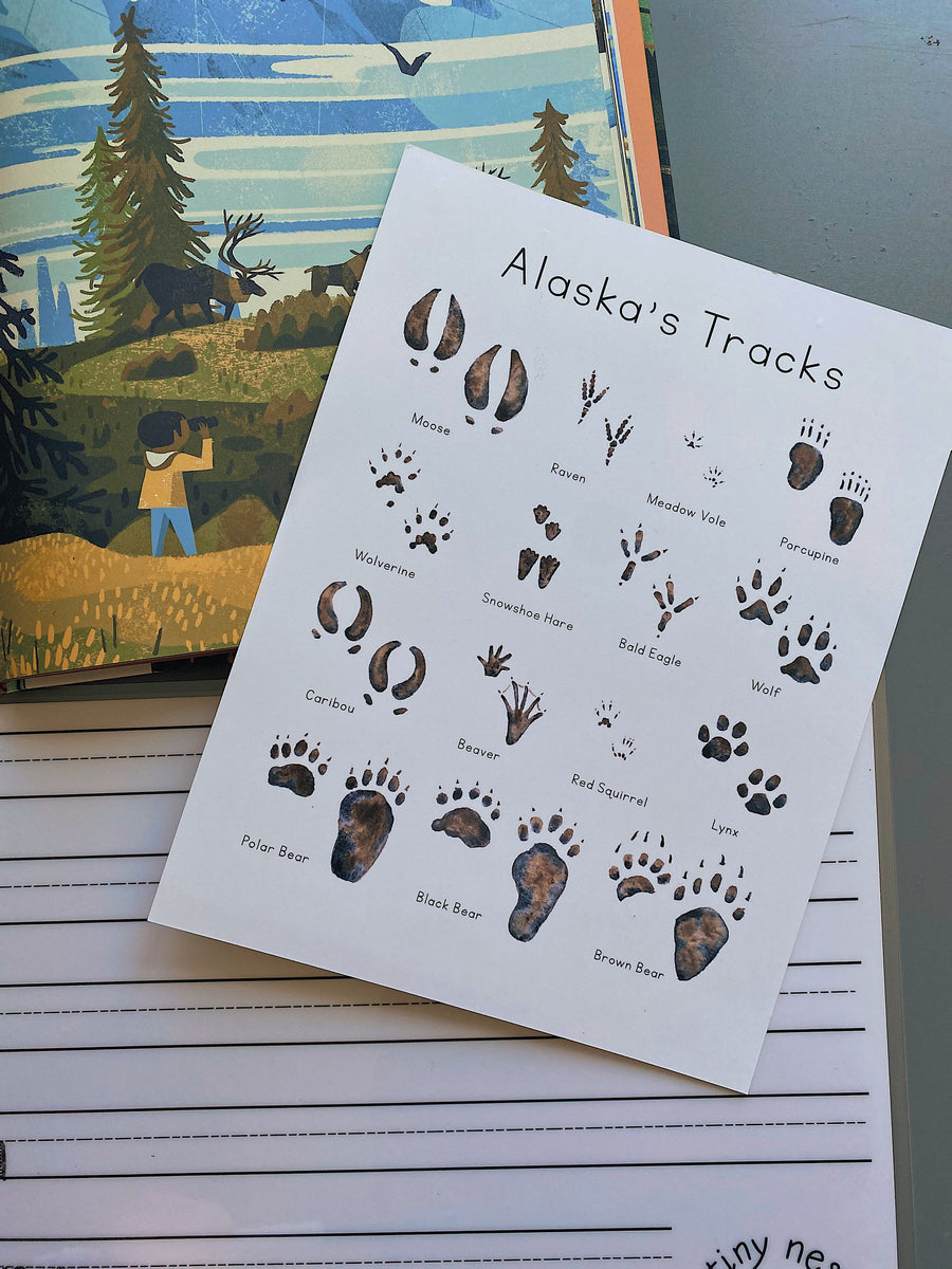 Small Animal Tracks Poster