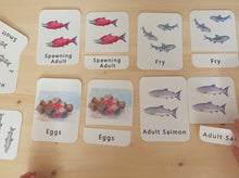 Load image into Gallery viewer, Salmon Life Cycle Digital Learning Unit