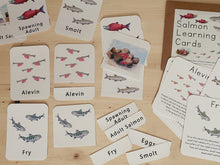 Load image into Gallery viewer, Salmon Life Cycle Digital Learning Unit