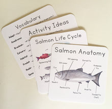 Load image into Gallery viewer, Salmon Life Cycle Digital Learning Unit