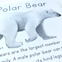 Load image into Gallery viewer, Alaska Animal Learning Cards