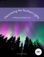 Load image into Gallery viewer, Northern Lights Nature Study
