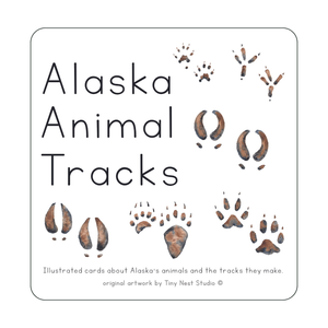 Alaska Animal Tracks Learning Cards