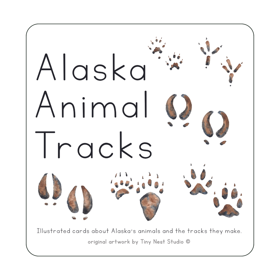 Alaska Animal Tracks Learning Cards
