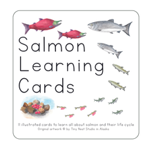 Load image into Gallery viewer, Salmon Life Cycle Learning Cards
