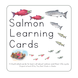 Salmon Life Cycle Learning Cards