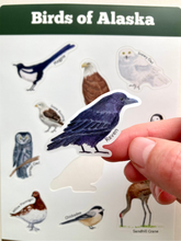 Load image into Gallery viewer, Birds of Alaska Sticker Sheet
