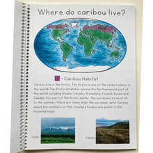 Load image into Gallery viewer, Discovering Caribou: A nature study curriculum for curious kids
