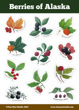 Load image into Gallery viewer, Berries of Alaska Sticker Sheet
