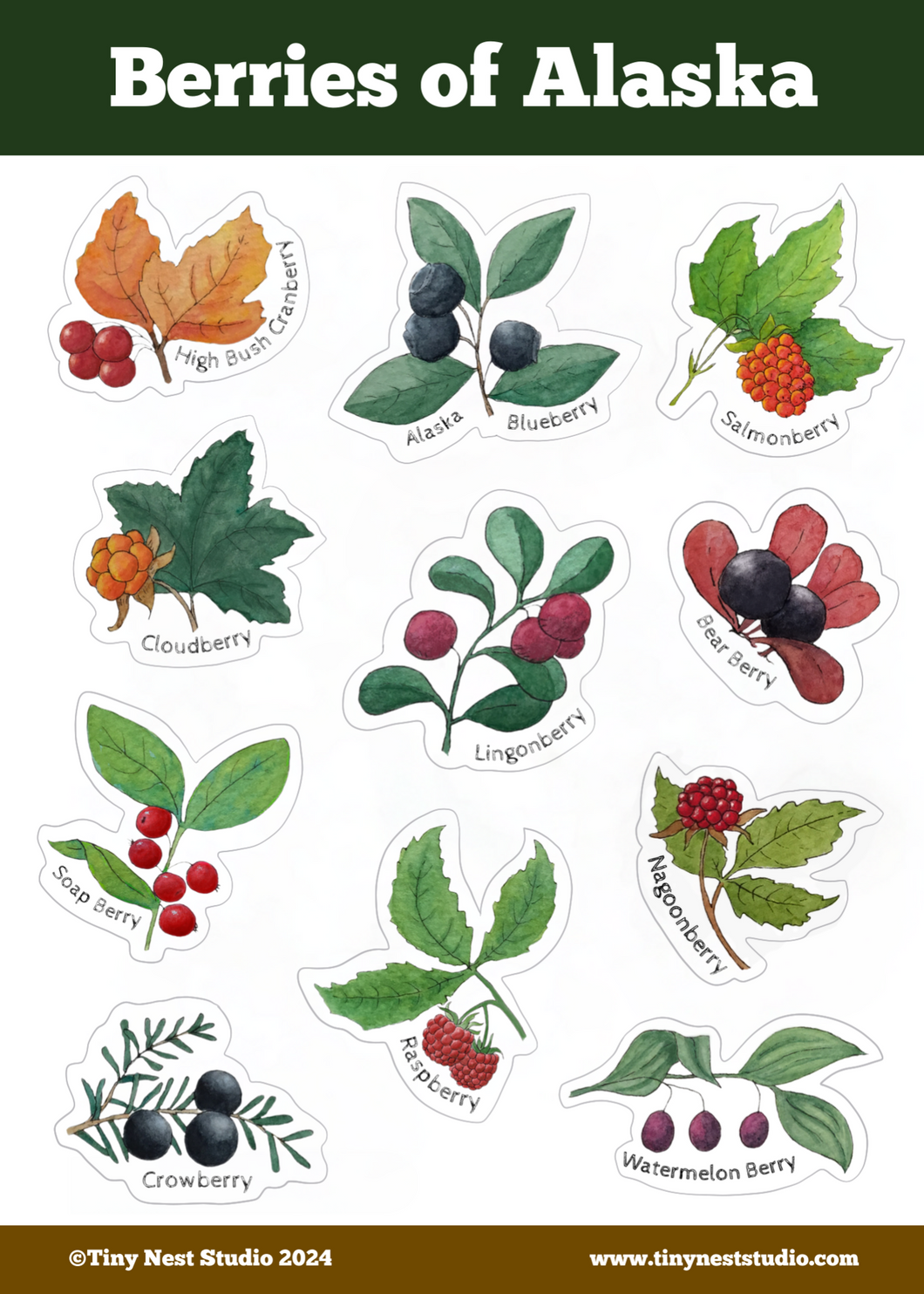 Berries of Alaska Sticker Sheet