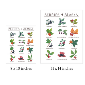 Berries of Alaska Watercolor Art Print