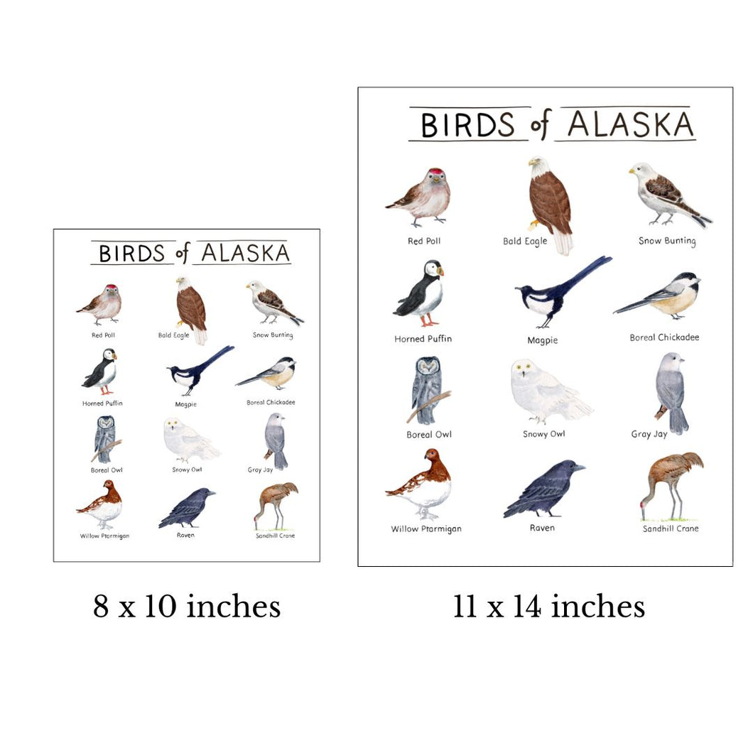 Birds of Alaska Watercolor Art Print