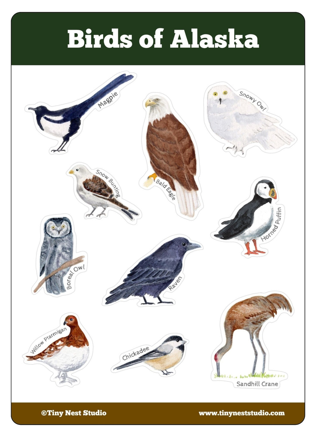 Birds of Alaska Sticker Sheet