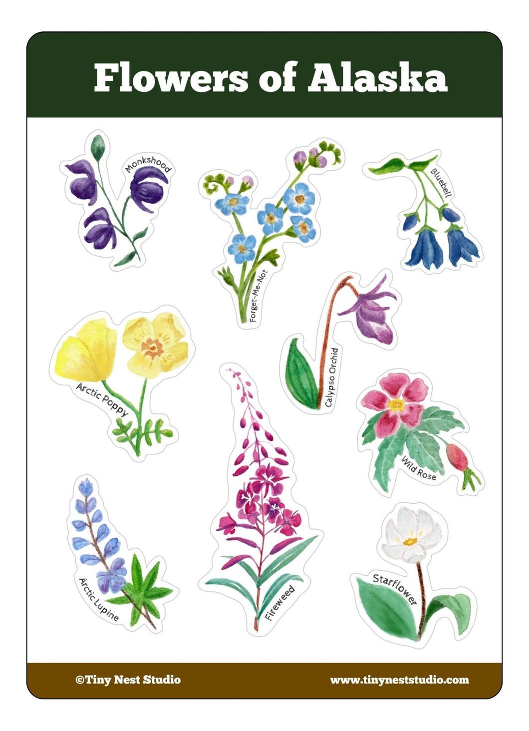 Flowers of Alaska Sticker Sheet