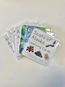 Learning Card Bundle