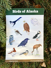 Load image into Gallery viewer, Birds of Alaska Sticker Sheet
