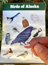 Load image into Gallery viewer, Birds of Alaska Sticker Sheet
