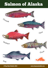 Load image into Gallery viewer, Salmon of Alaska Sticker Sheet
