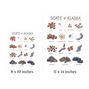 Scats of Alaska Art Print