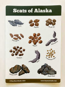 Scats of Alaska Sticker Sheet