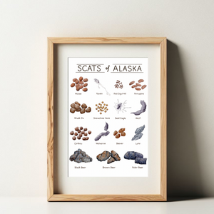 Scats of Alaska illustrated art print in a neutral wooden frame. Moose to blear represented. 