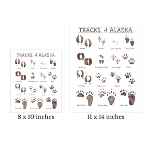 Tracks of Alaska Art Print