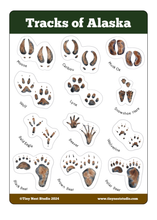 Load image into Gallery viewer, Tracks of Alaska Sticker Sheet
