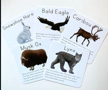 Load image into Gallery viewer, Alaska Animal Learning Cards
