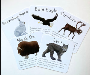Alaska Animal Learning Cards