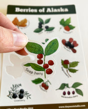 Load image into Gallery viewer, Berries of Alaska Sticker Sheet
