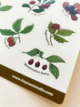 Load image into Gallery viewer, Berries of Alaska Sticker Sheet
