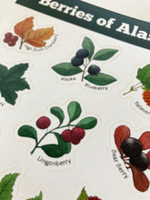 Load image into Gallery viewer, Berries of Alaska Sticker Sheet
