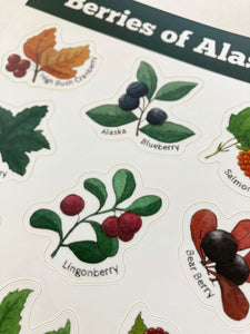 Berries of Alaska Sticker Sheet