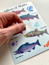 Load image into Gallery viewer, Salmon of Alaska Sticker Sheet
