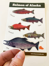 Load image into Gallery viewer, Salmon of Alaska Sticker Sheet
