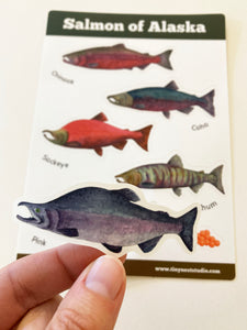 Salmon of Alaska Sticker Sheet