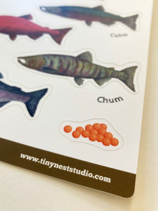 Salmon of Alaska Sticker Sheet