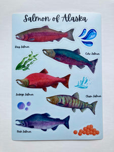 Salmon of Alaska Sticker Sheet