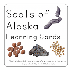 Scat of Alaska Learning Cards