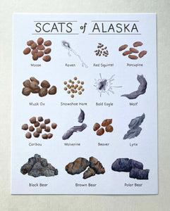 Scats of Alaska Art Print